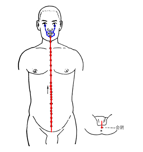 Comprehensive Summary of the Eight Extraordinary Meridians and Their Functions