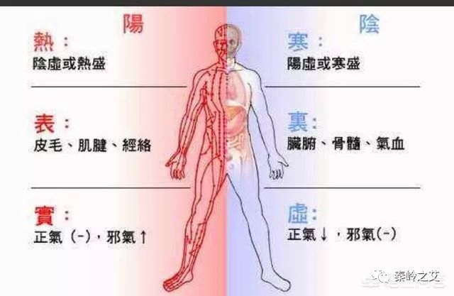 What is Yin-Yang Balance? How to Regulate It?