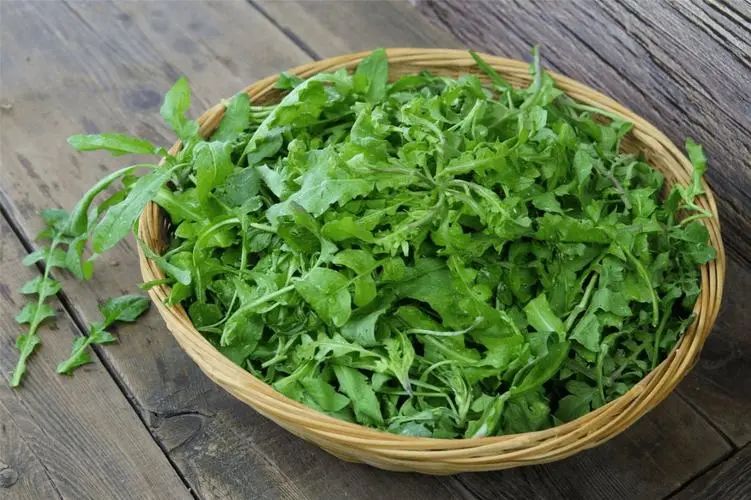 Wild Vegetables in Early Spring: Don't Miss This Dish for Those with Liver Damp-Heat!