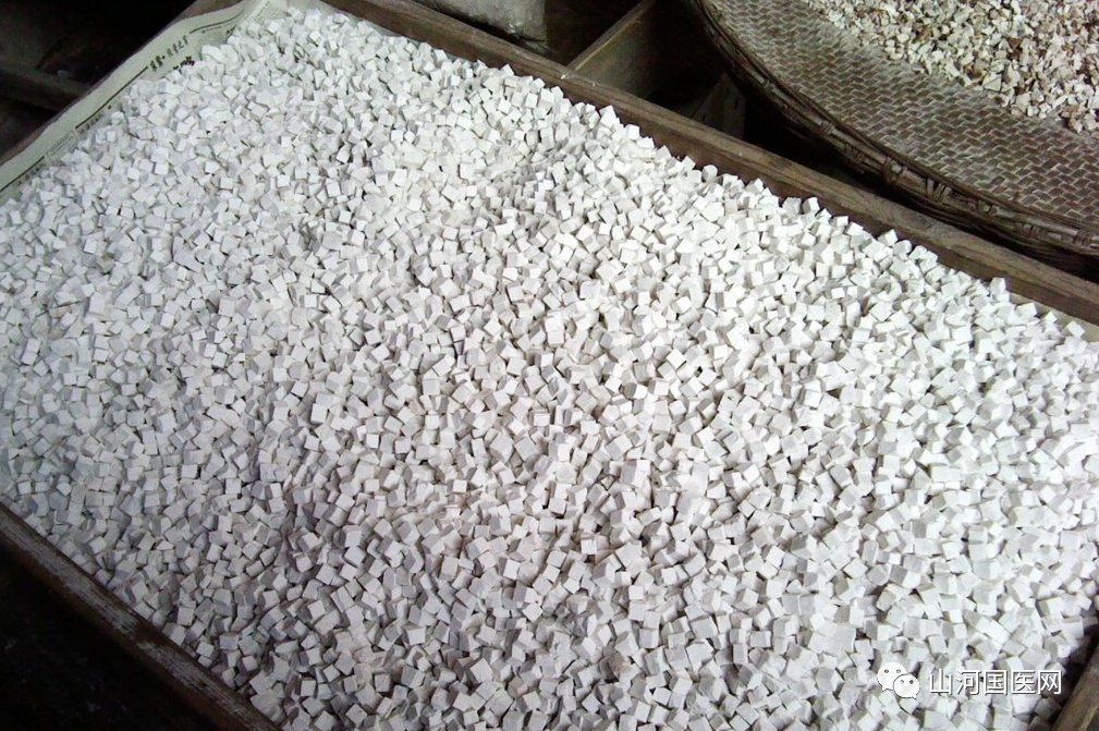 Poria Cocos: A Comprehensive Overview