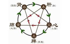 The Application of the Five Elements Theory in Clinical Liver Diseases