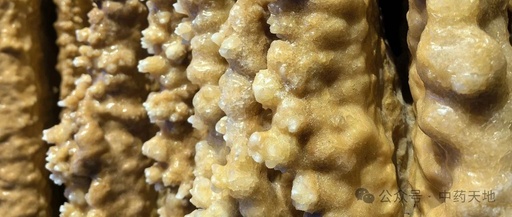 Stalactite in Traditional Chinese Medicine