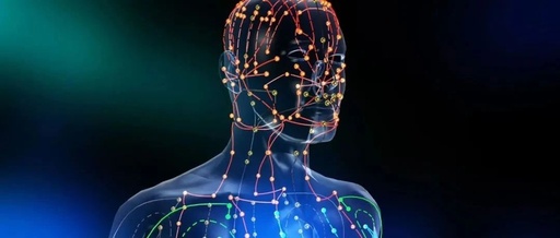 Classical Acupuncture Course Videos | Meridians and Collaterals