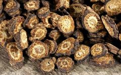 The Efficacy and Functions of Huang Lian: Effective for Clearing Heat and Reducing Fire, but Caution for Certain Individuals!