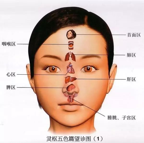 Comprehensive Observation in Traditional Chinese Medicine