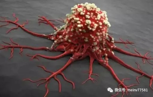 Dan Shen and Its Synergistic Effects: A Natural Approach to Improve Blood Circulation and Prevent Cardiovascular Diseases