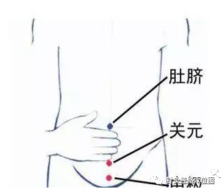 Common Deficiency Syndromes of the Five Organs (Yin, Yang, Qi, Blood) and Their Treatment Methods