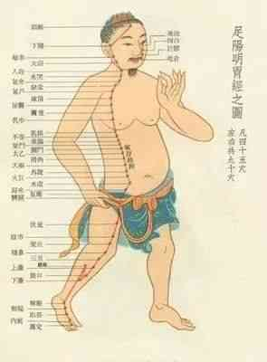 The Huangdi Neijing: Meridians, Determining Life and Death, Addressing Hundreds of Diseases