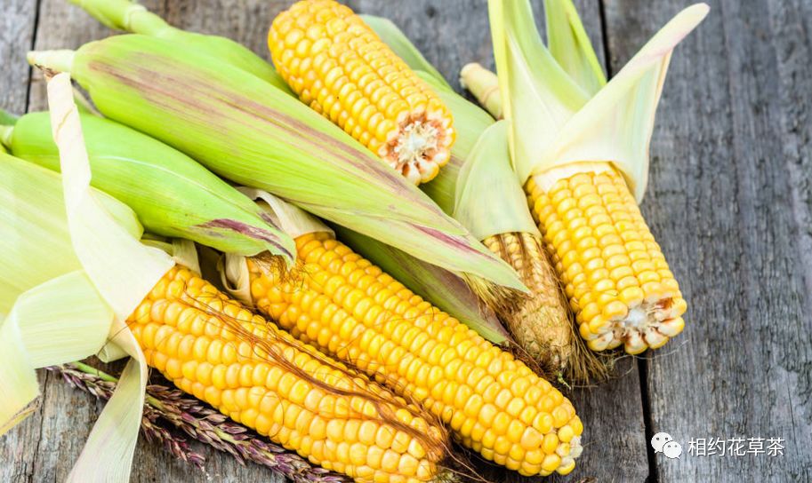 Nutritional Benefits of Various Grains and Beans (Part 1)