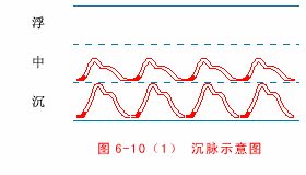 The Wonders of the Twenty-Eight Pulses in Traditional Chinese Medicine: Understanding Pulse Diagnosis (Part 1)