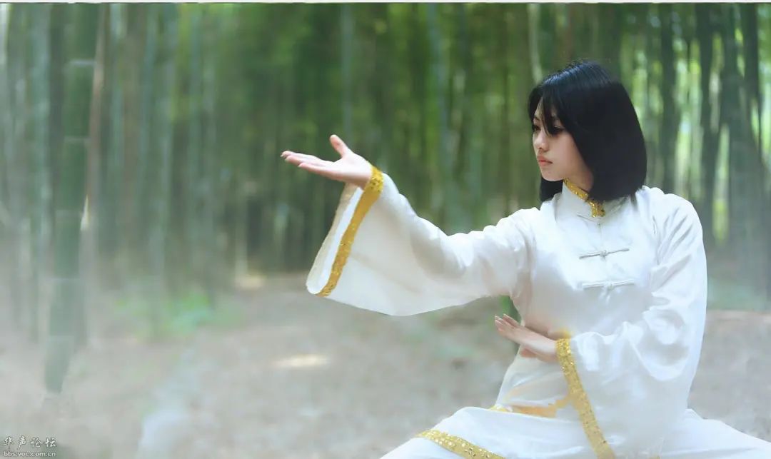 The 23 Palm Techniques of Tai Chi: Infinite Benefits After Mastery!