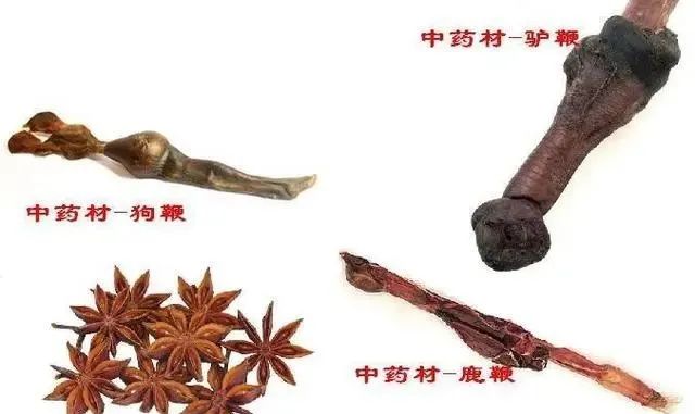 Understanding Kidney Yin and Yang Deficiency: Symptoms and 15 Commonly Used TCM Formulas