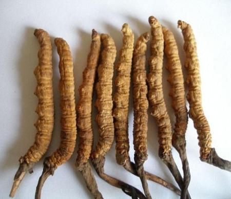 Understanding Medicinal Cuisine in Traditional Chinese Medicine