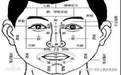 Traditional Chinese Medicine Diagnosis Through Observation of Body Areas