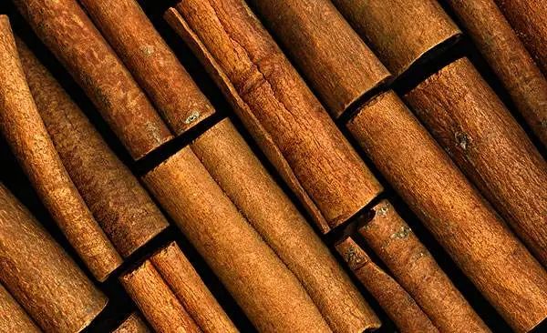 The Classroom of Chinese Herbs - Cinnamon