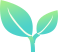 The Six Major Benefits and Uses of Rehmannia Glutinosa: How to Best Consume Rehmannia?