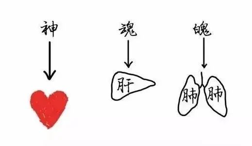 The Theory of the Five Organs and Their Spirits: Heart Houses the Shen, Lung Houses the Po, Liver Houses the Hun, Spleen Houses the Yi, Kidney Houses the Zhi!