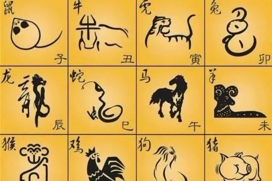 The Interactions of the Twelve Zodiac Signs: A Timeless Guide