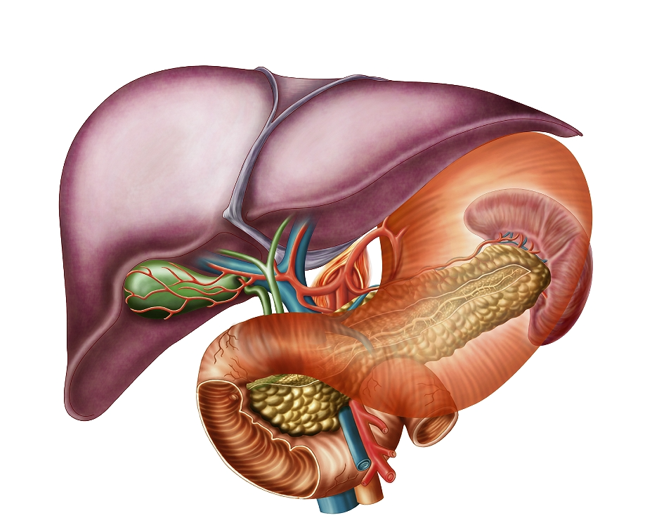 Understanding the Symptoms of Spleen and Stomach Yang Deficiency
