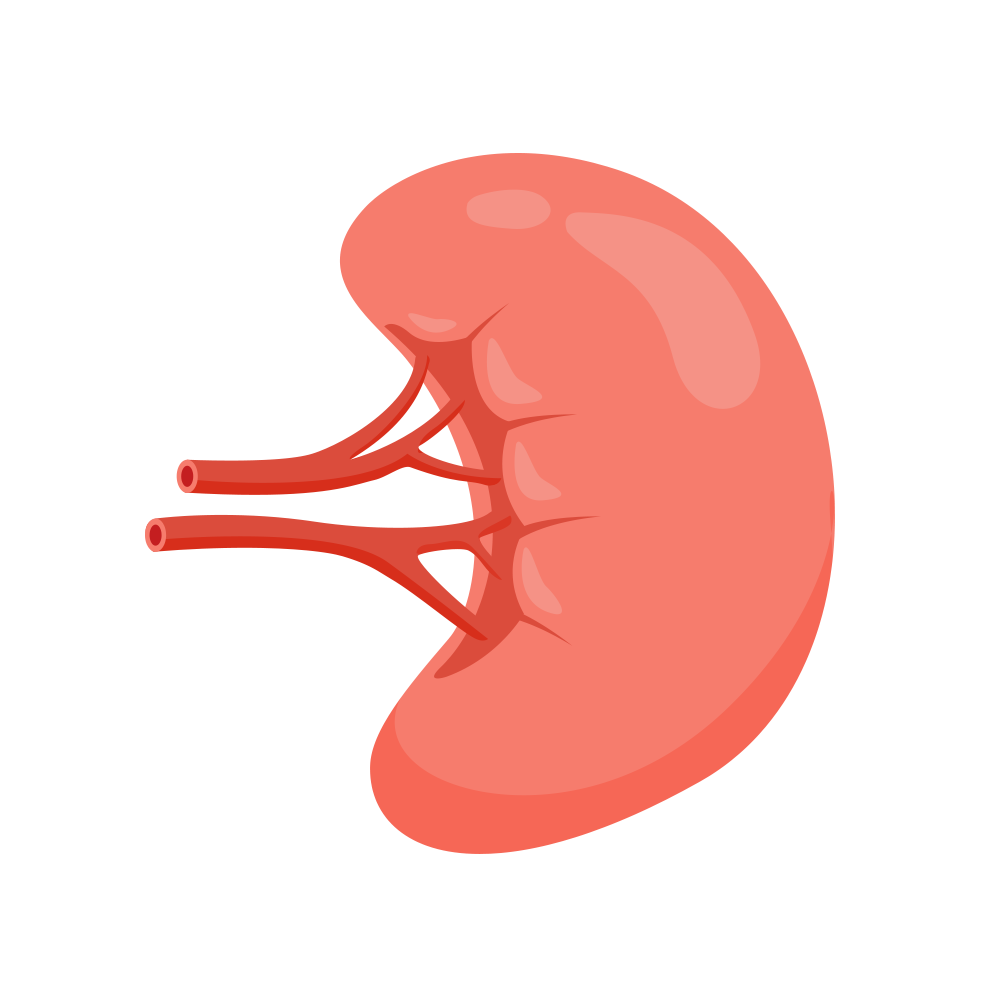Is Easy Fatigue a Sign of Qi Deficiency? Understanding Different Types of Qi Deficiency