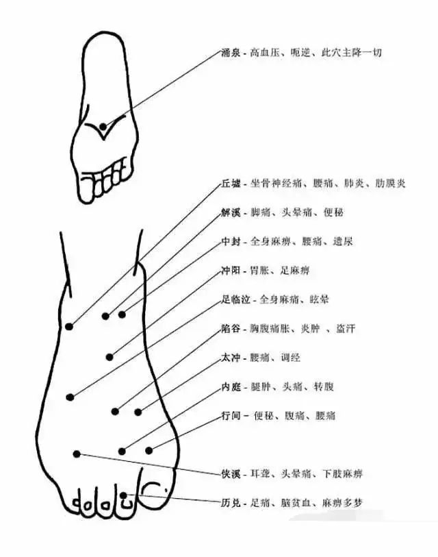 Comprehensive Human Acupuncture Points Chart and Their Functions (A Must-Bookmark)