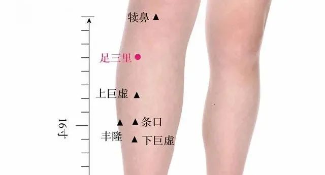 Traditional Chinese Medicine: Warming Meridians and Strengthening the Body to Expel Pathogens