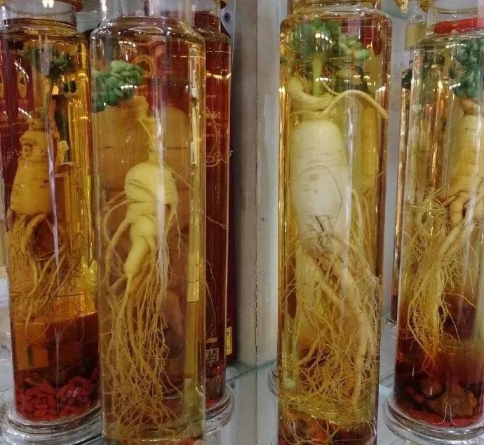 The Powerful Benefits of Ginseng: Unfortunately, 99% of People Consume It Incorrectly!