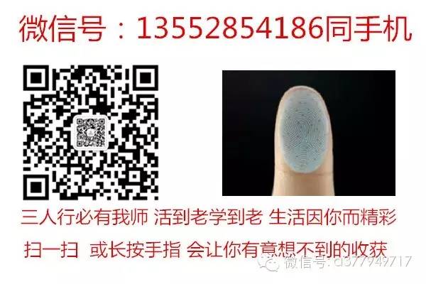 The Channels, Collaterals, Sinews, and Skin Areas in Traditional Chinese Medicine