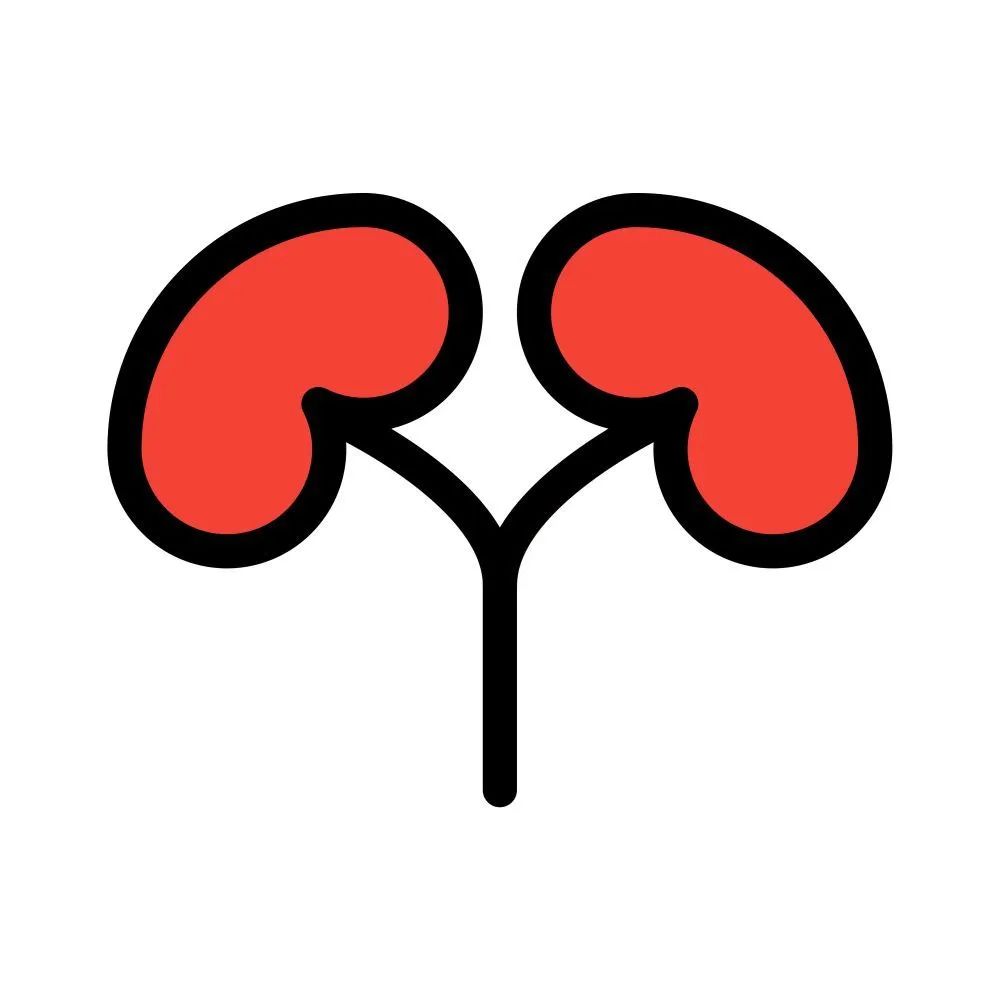 What is Kidney Yang Deficiency? Symptoms of Kidney Yang Deficiency