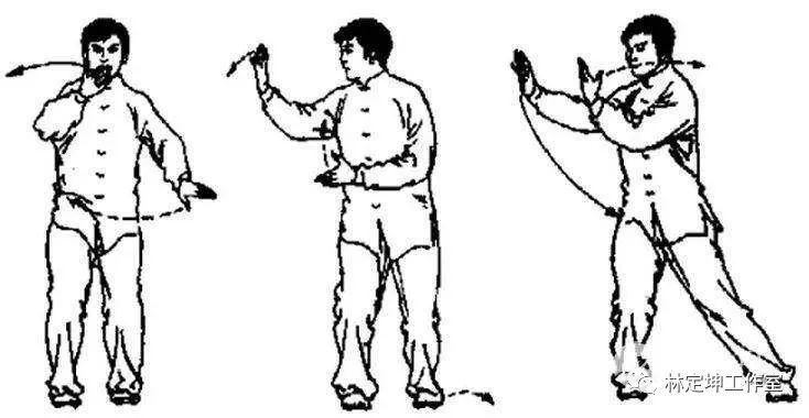 Discussing Bones and Muscles | The Harmony of Yin and Yang in the Human Body is the Foundation of Health