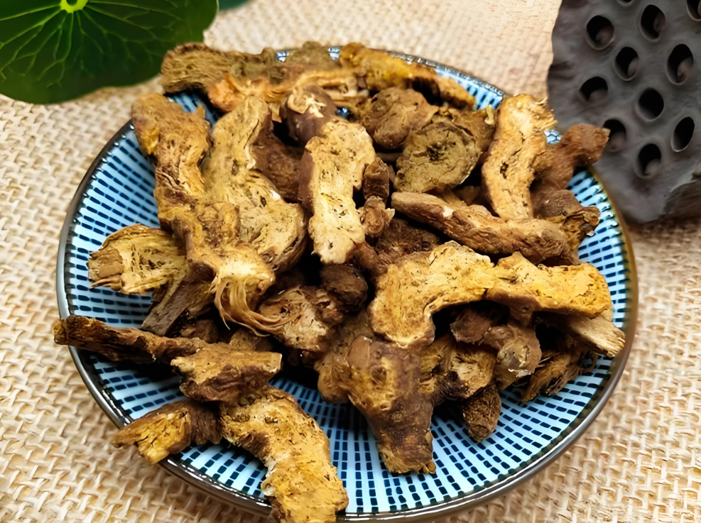 Daily Learning of Chinese Herbs: Cang Zhu (Atractylodes)