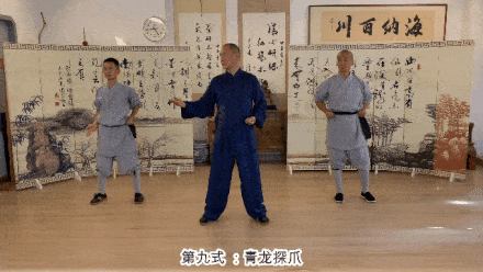 Detailed Explanation of the Twelve Movements of the Ancient Yi Jin Jing