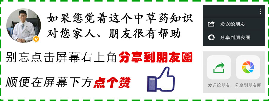 Daily Herb 31: Ginseng - How to Choose and Distinguish Wild Ginseng?