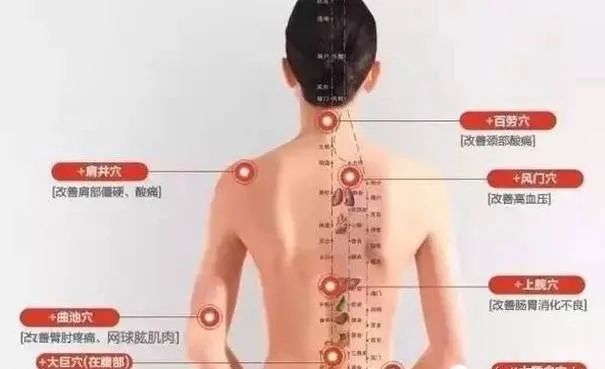 The Most Comprehensive Guide to Gua Sha Knowledge