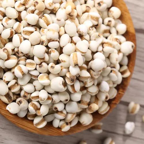 The Legend and Efficacy of Coix Seed (Yi Yi Ren)