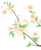 Spring Equinox: Balancing Yin and Yang for Health