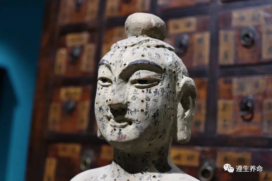 The Treasures of Traditional Chinese Medicine: The Six Major Techniques of Bian, Acupuncture, Moxibustion, Herbal Medicine, Daoyin, and Anqiao
