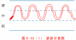 Illustrated Guide to 28 Dynamic Pulse Diagnoses in Traditional Chinese Medicine