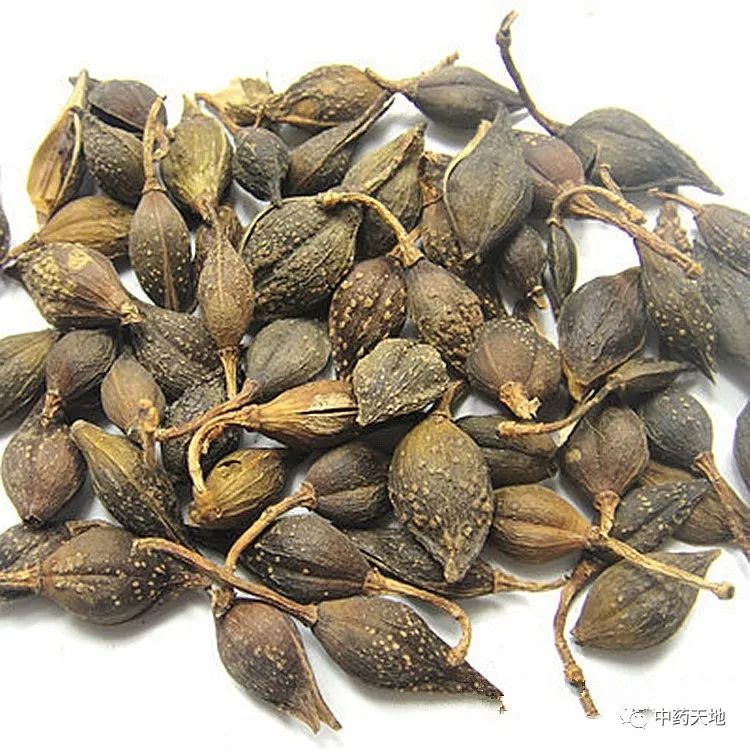 Clearing Heat and Detoxifying Herbs