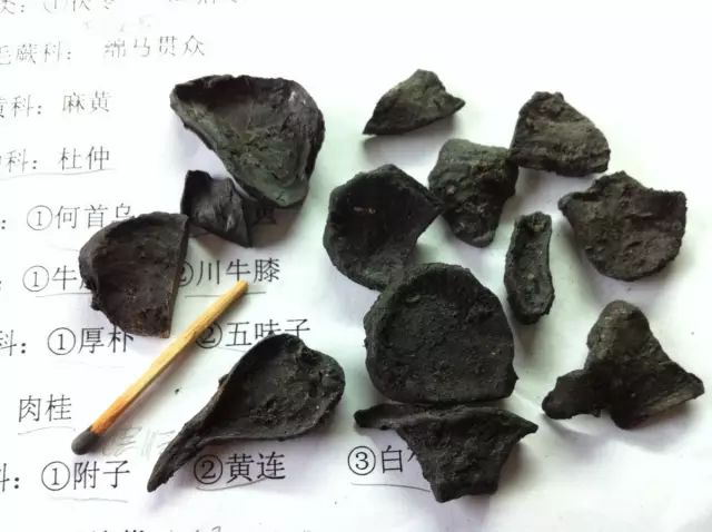 The Application of Fuzi (Aconite) by Dr. Li Ke in Traditional Chinese Medicine