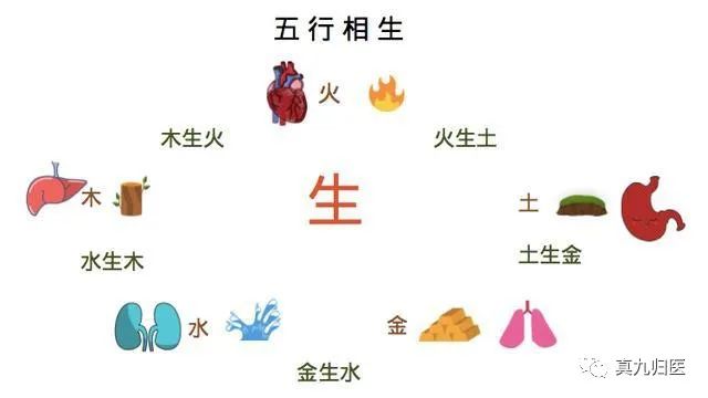 The Interactions of the Five Elements in Traditional Chinese Medicine