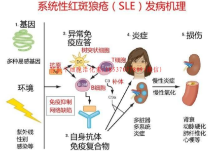 Factors of Internal Injury Leading to Disease