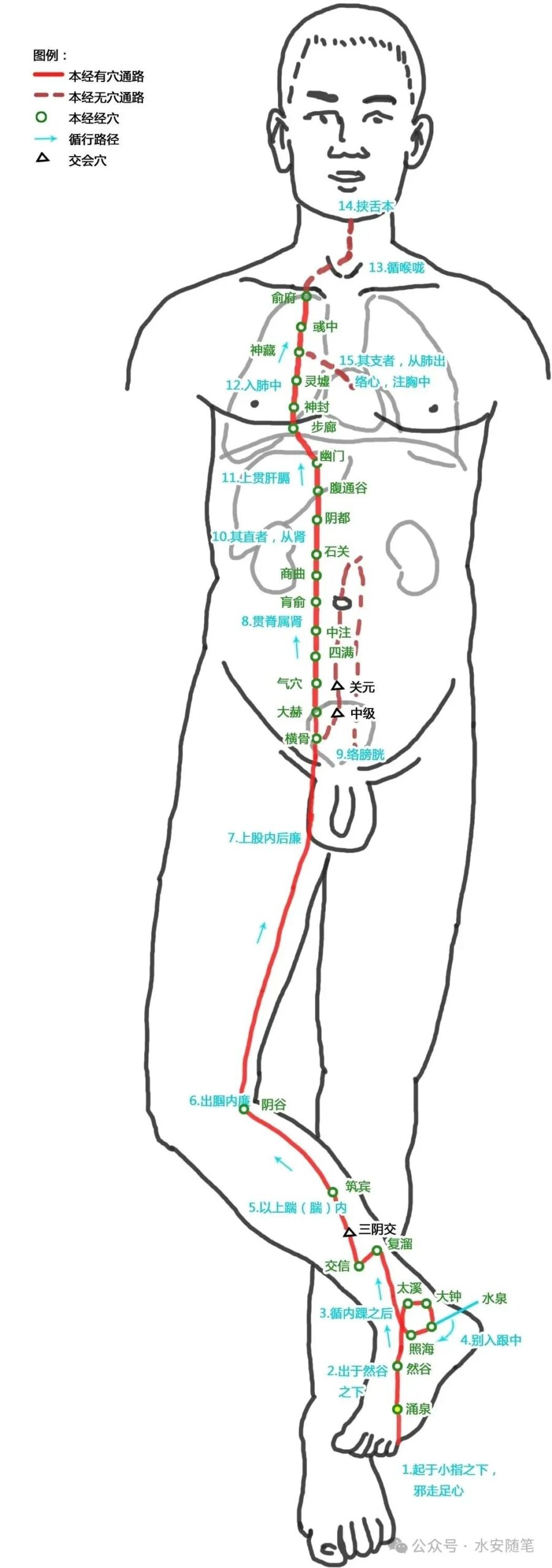 The Pathways of Meridians: A Traditional Chinese Medicine Guide