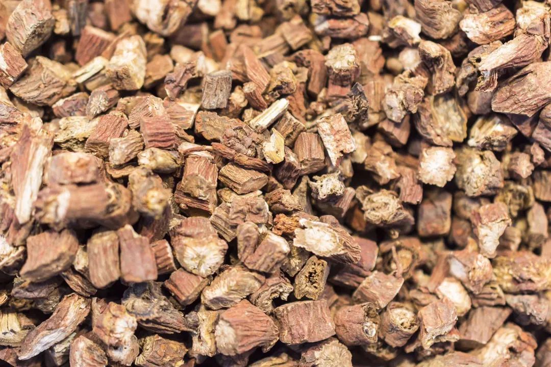 Understanding Medicinal Foods: Activating Blood Circulation and Alleviating Pain