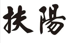Warming Yang, Dispelling Cold, Supporting the Body and Inhibiting Tumors