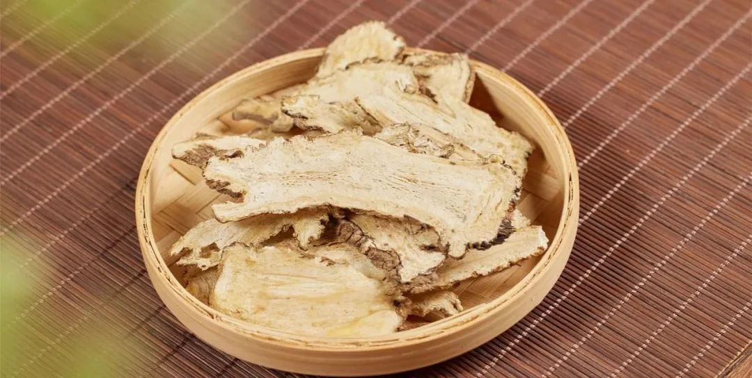 The Indispensable Angelica: A Comprehensive Guide