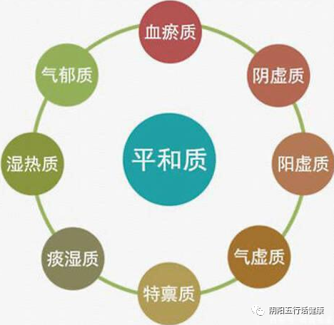 Comprehensive Guide to TCM Constitution and Health Preservation (9 Types of Constitutions)