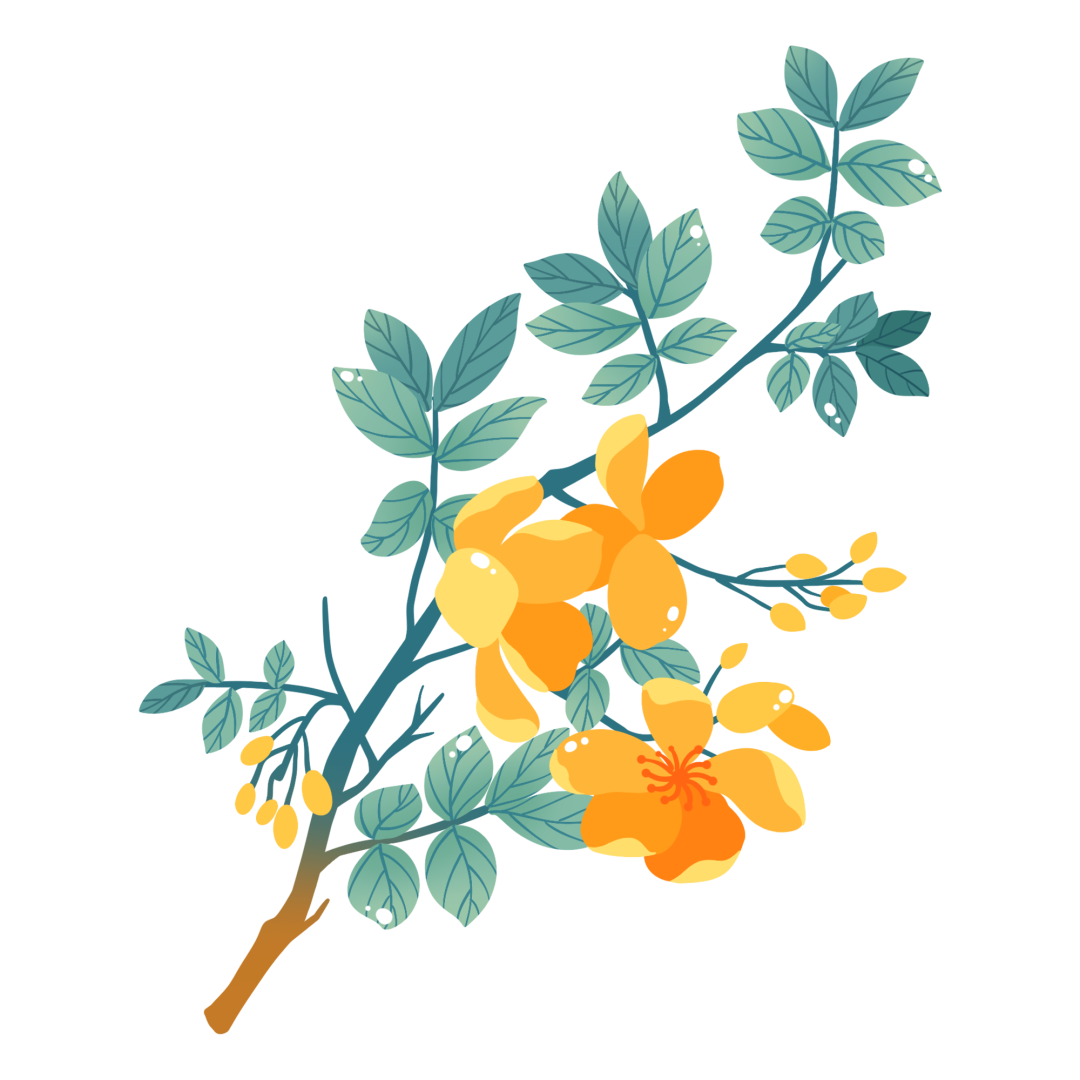 Recommended Formulas by Renowned Physicians | Cinnamon and Shenqi Pill: Nourishing Fire and Supporting Yang, Transforming Qi and Promoting Water Flow