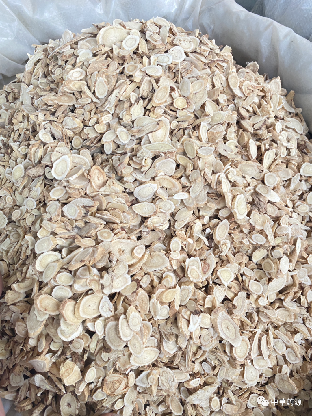 Appreciation of Traditional Chinese Medicine: Huangqi (Astragalus Root)
