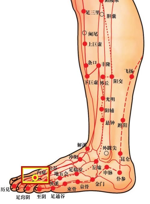 Acupoint Knowledge | Twelve Meridians: The Neiting Point of the Stomach Meridian